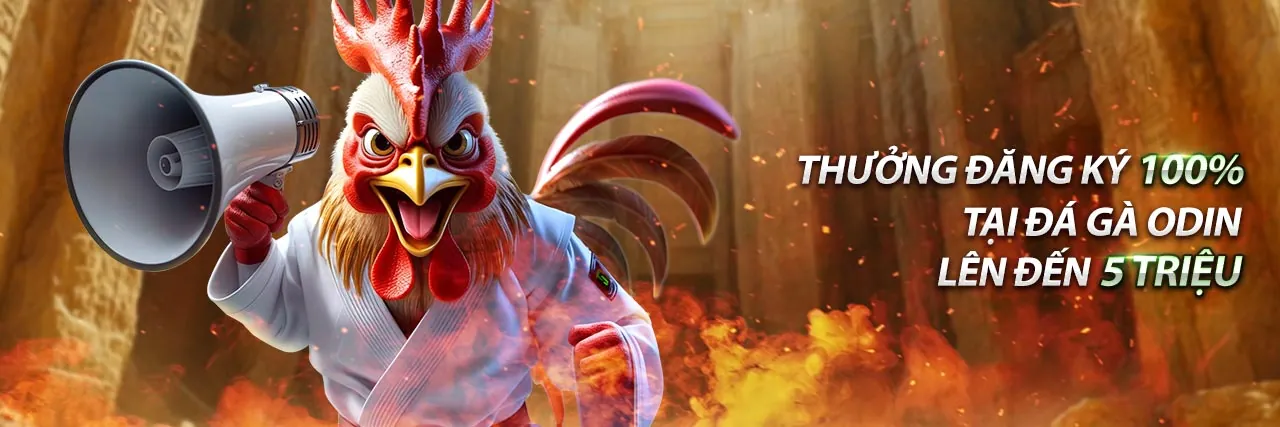 Giá trị cốt lõi và cam kết với người chơi của Win55 VN