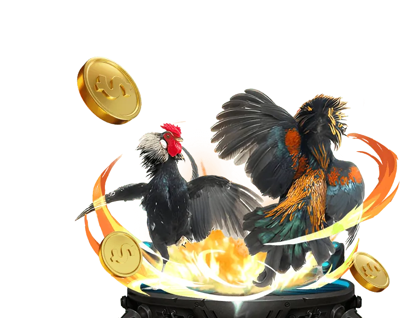 Đa dạng sản phẩm giải trí Win55 VN