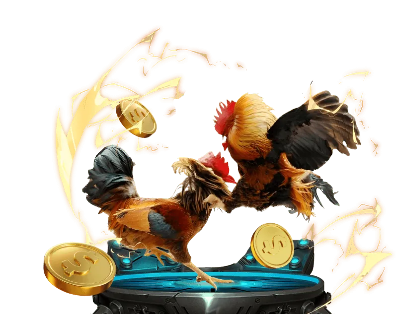 Hoàn Trả Hàng Ngày win55 vn